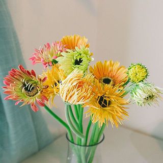 日に日に開花の変化を楽しめます。