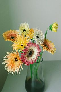 品種は毎回異なります。