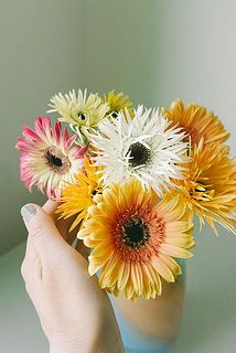 満開のイメージ。