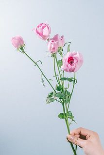 花付きには個体差がございます。