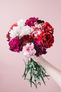 お届けイメージ