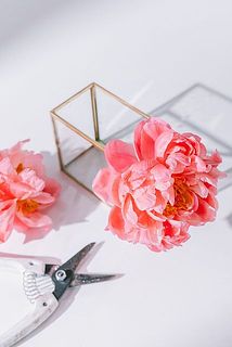 春のお花、自由に楽しみましょう。