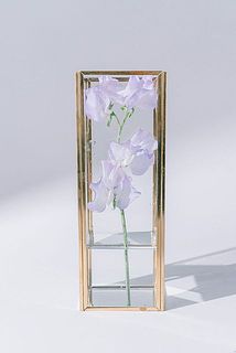 短くなった花を標本のように飾ってみて。