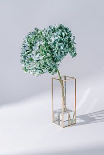 大きな紫陽花もしっかり飾れます。