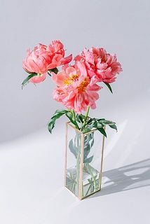 今の季節だと芍薬もお似合い。