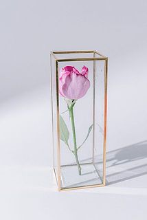 バラもおすすめ。