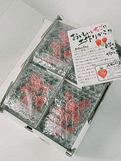 4個パックでお届け。クール便で発送します。