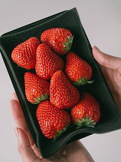 専用のパックに入れてお届け。