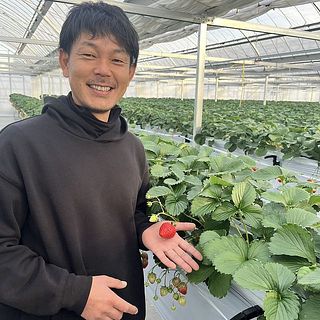 生産者の山本さん🍓