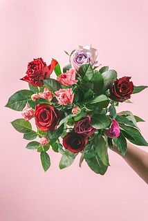 お届け時、芍薬は蕾になります。