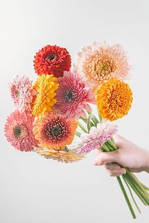 内容はおまかせになります。