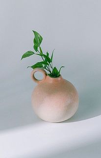 グリーンだけのびのび飾るのもおすすめ。