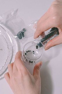 ミニボトル容器にソイルを入れ平にならします。