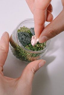 石とフィギアをお好みの位置に置いたら完成！