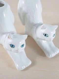 目の囲み線の太さや耳の形には個体差がございます。