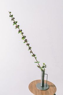 枝ぶりには個体差があります