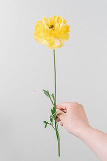 一本でも華やか！