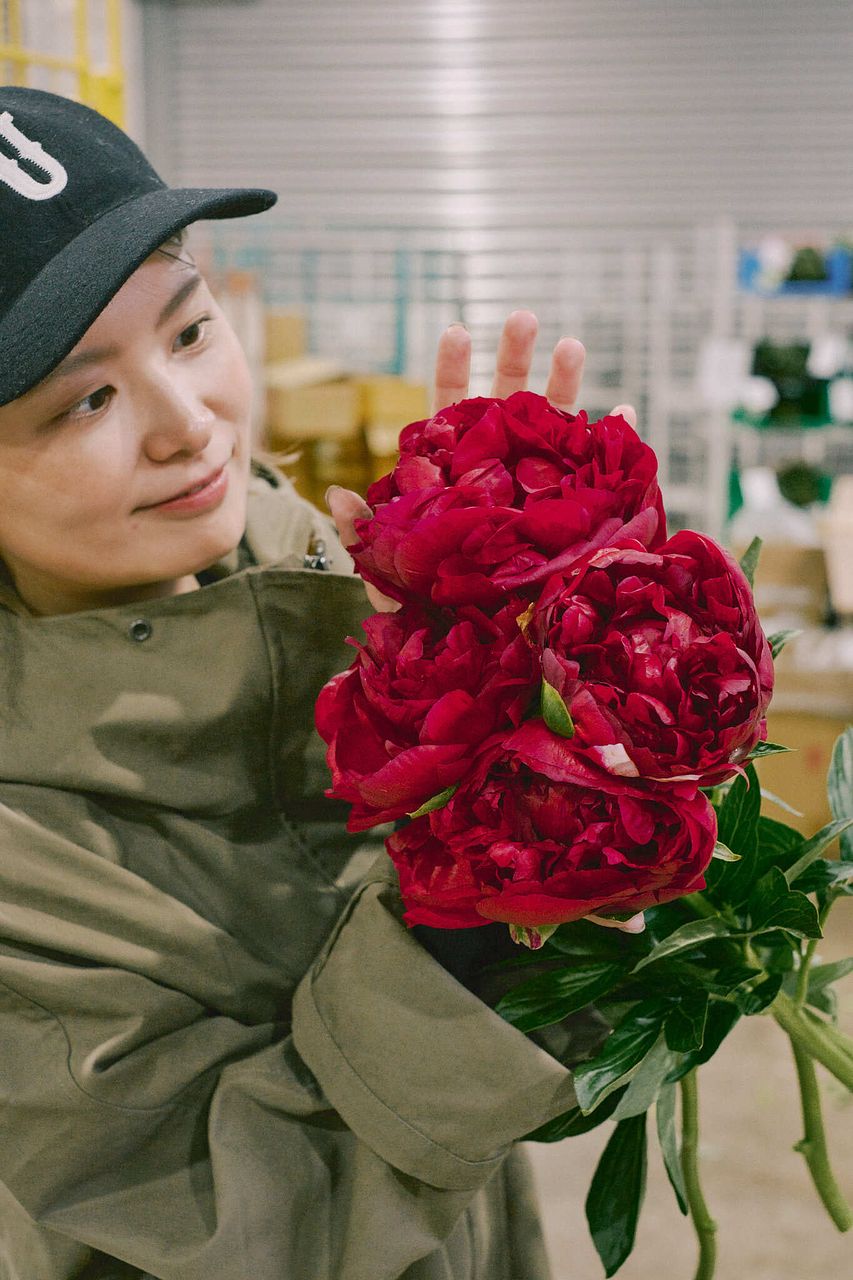特大！真紅の芍薬「ヘンリーボックストース」