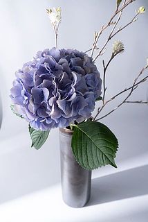 紫陽花と枝物の組み合わせも素敵。