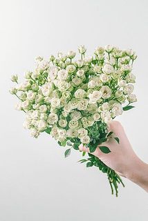 ヴェールウッズ