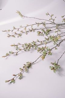 ボリューム感には個体差があります。