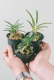 どれが届くかな。