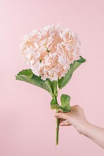 大きさや形には個体差がございます。