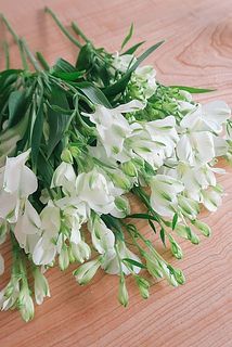 5〜6本お届け。