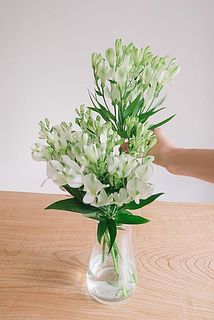 1本のボリュームがすごい！