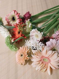 15本お届けします。届いたらすぐに深水にいれて数時間水あげをしましょう。首が上を向くよう紙できゅっと巻いてから、茎が8割くらい浸かるイメージで。水あげしたあとは、浅水に活けて飾ってください。