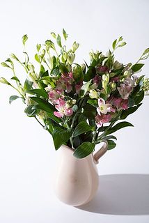 ボリュームたっぷり！