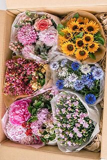 画像はイメージです。