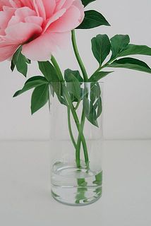 軽く、倒れやすいので、ご注意ください。