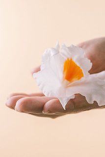 配送中の揺れで、花が落ちてしまう場合がございます。