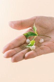 配送中の揺れで花や葉が落ちる場合がございます。