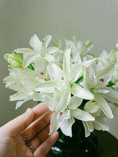 満開の姿はボリューム満点！