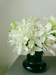 使用花器:duck（グレー）