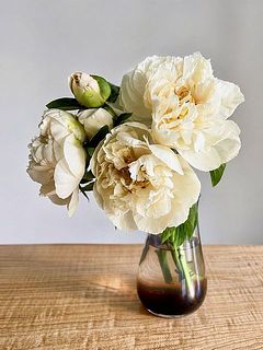 花器に飾った様子。ふりっふりの姿にうっとり。