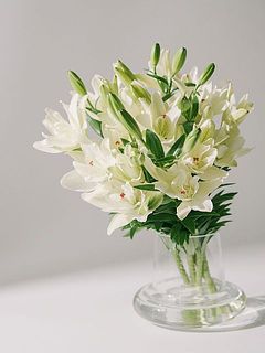 使用花器:duck(クリア)