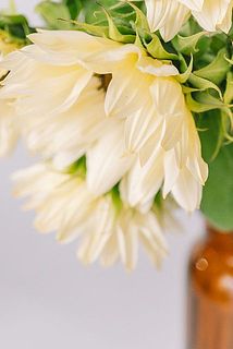 アイボリーカラーが魅力的。