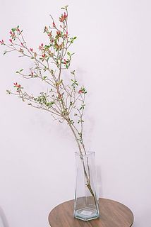 枝ぶりには個体差があります。