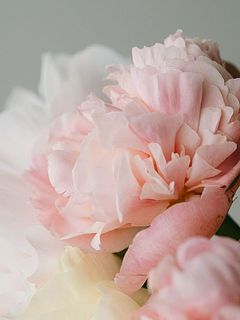 うっとりするカラーリング。