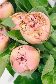 3本お届けします。