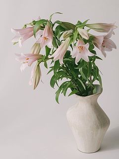 ※花器は付属しません