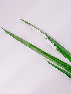 葉菖蒲はスリーブに入れて保水をせずお届けします