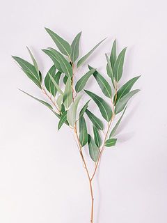 ユーカリはお好きな長さに切り分けてお作りください