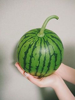 2kgほどの小玉スイカです。