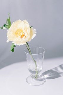 芍薬を一輪飾ってもおしゃれ。