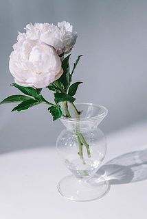 今の時期は芍薬もお似合い。