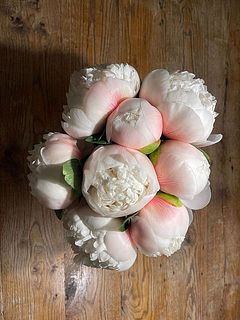 開花イメージ写真